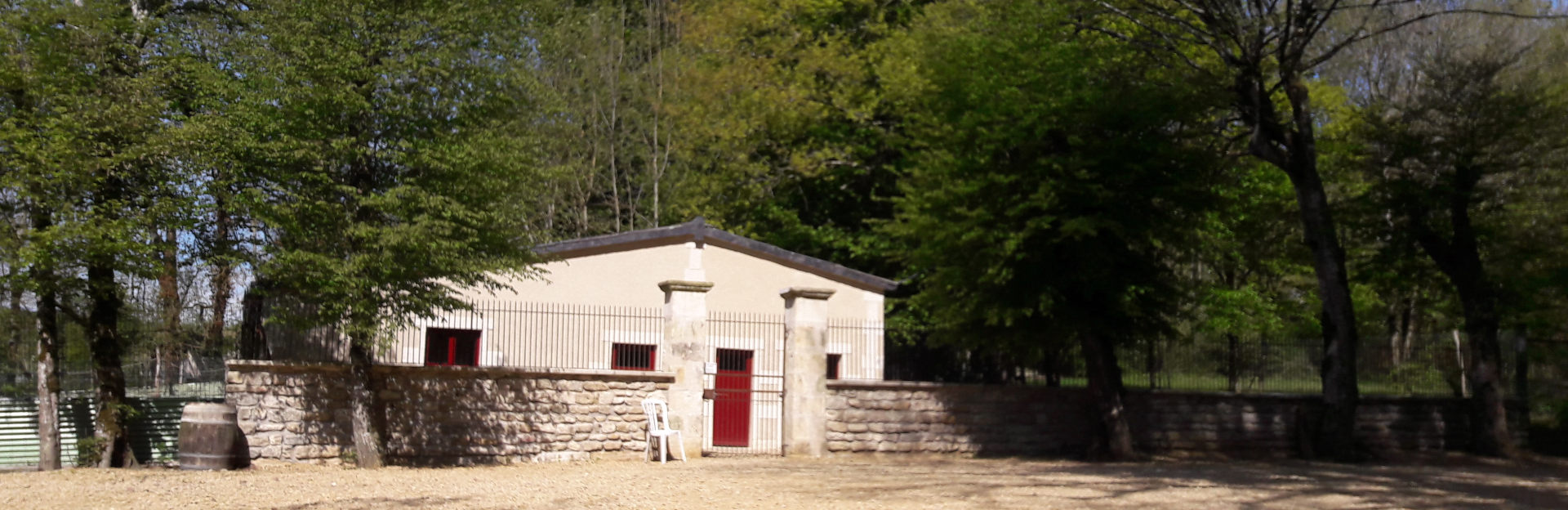 Pension for dogs of Bizy castle