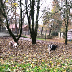 Des copains de vacances